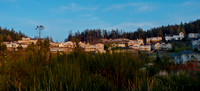 _DSC4868