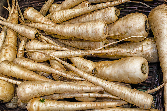 11-17 Indoor Farmers Market-152