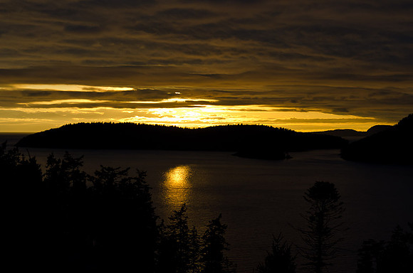 _DSC5132