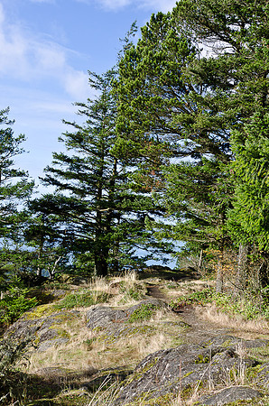 _DSC4300