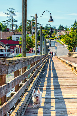 06-05 Coupeville TIFFs--3