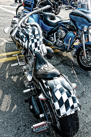 09-23 Oyster Run-26