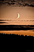 08-20 Sliver Moon-6