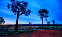 Ayers Rock Scenes--8