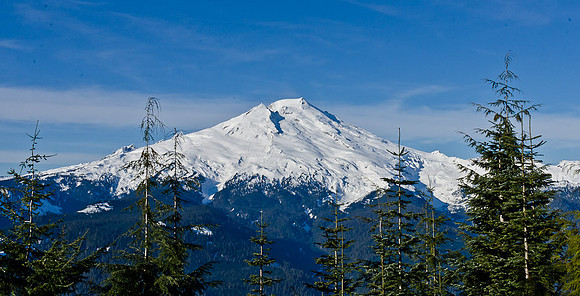 _DSC4966