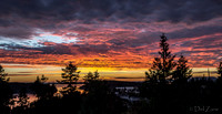 09-06 Purple Sunset--6
