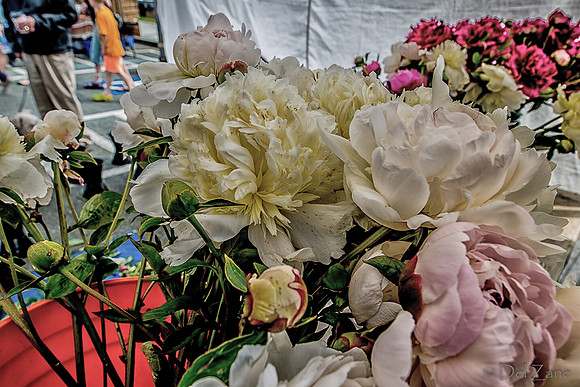Farmers' Market 2--33