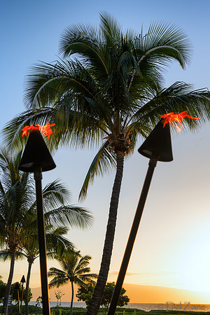 North Kaanapali--17