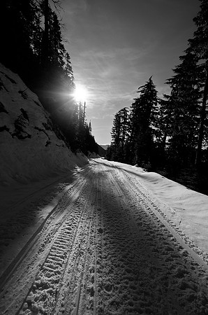 _DSC4989