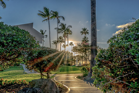 01-07 Scenic Sunset Potpouri TIFFs-