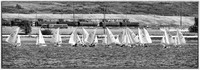 #2-The Lido 14 Class Championship Regatta, Part 2 of 2