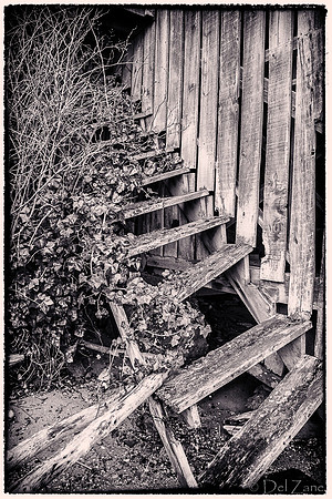 03-02 Coupeville-27