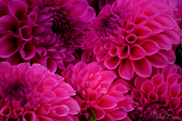10-05 Farmers' Market--113