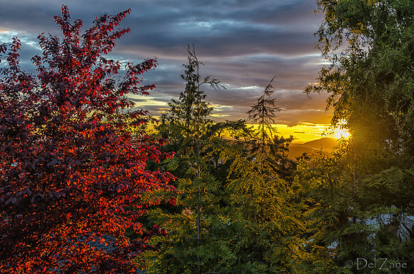 Sunset at Marine Heights-2