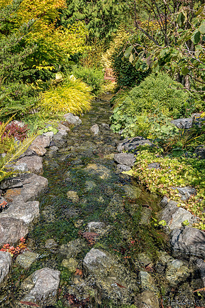 08-17 Shadra Garden 2015 TIFFs--33