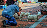 06-27 Farmers Market-7