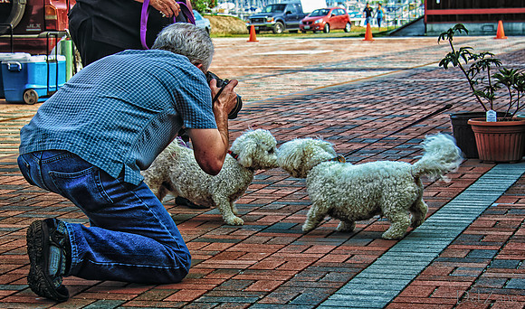 06-27 Farmers Market-7