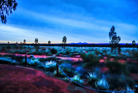 Ayers Rock Scenes--9