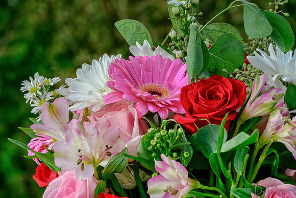 10-30 B'Day Bouquet TIFFs--4