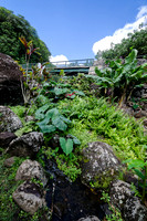 Iao Valley State Park-21