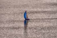 08-25-2012 Northern Century Sailboat Race-10
