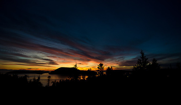 _DSC4117