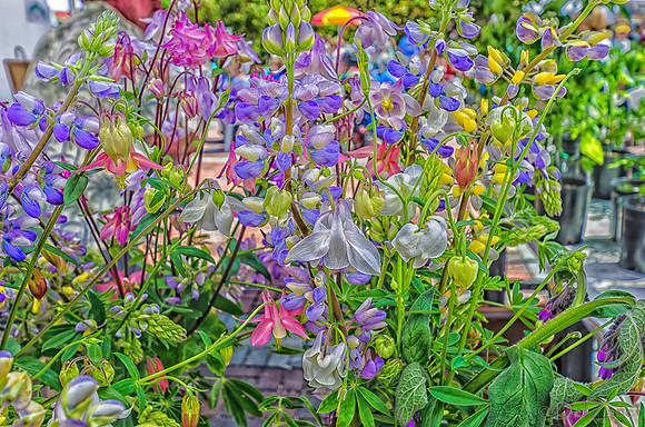 Memorial Day 2012, Farmers Market-82