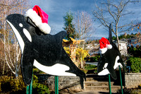 11-27-13  Marine Heights Daylight Xmas Display--14