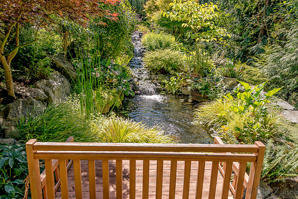 08-17 Shadra Garden 2015 TIFFs--42
