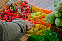 10-05 Farmers' Market Short-0461