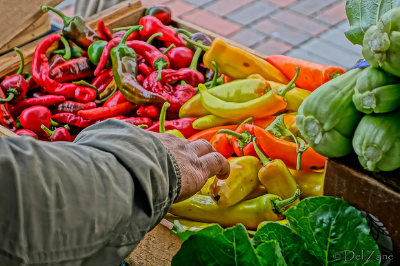 10-05 Farmers' Market Short-0461