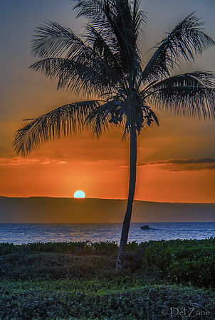 North Kaanapali--18