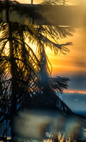 11-25 Golden Late November Sunset-7