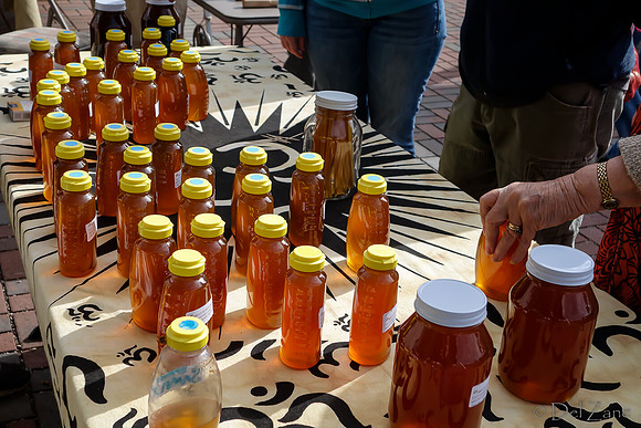 10-05 Farmers' Market--41