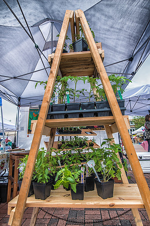 Farmers' Market 2--66