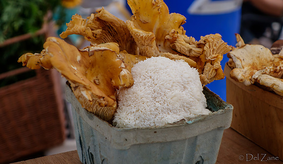 10-05 Farmers' Market--93