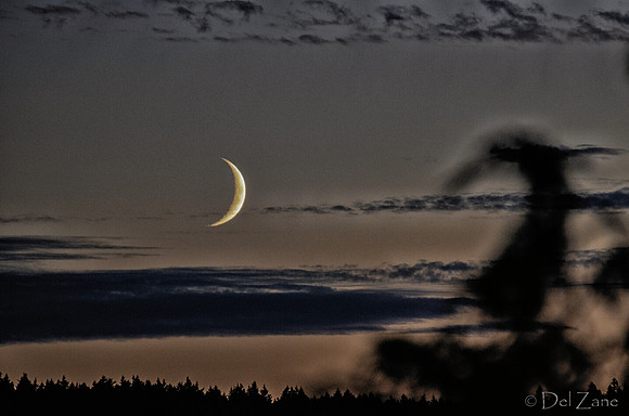 08-20 Sliver Moon-8