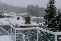 12-20 Snowy Day-0583