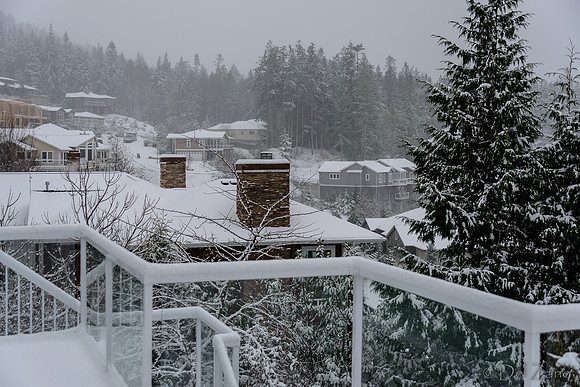 12-20 Snowy Day-0583