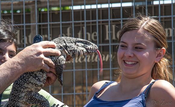 07-20 Gila Monster--7