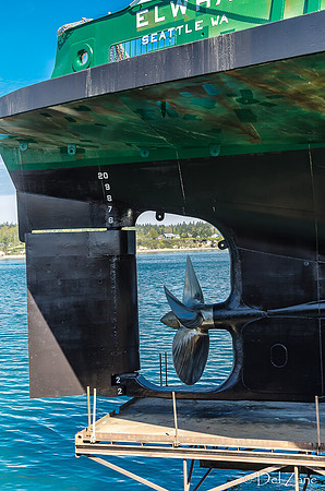 Elwha-5