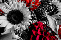 09-19 Colorized Bouquet Bokeh-0305