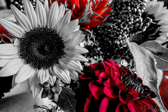 09-19 Colorized Bouquet Bokeh-0305