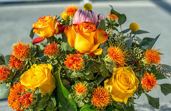 10-01 Bouquet TIFFs--14
