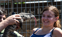 07-20 Gila Monster--7