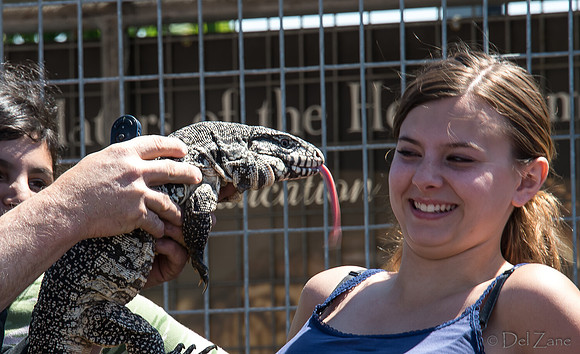 07-20 Gila Monster--7