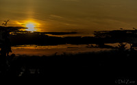 BO Sunset--6