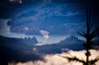 _DSC4951