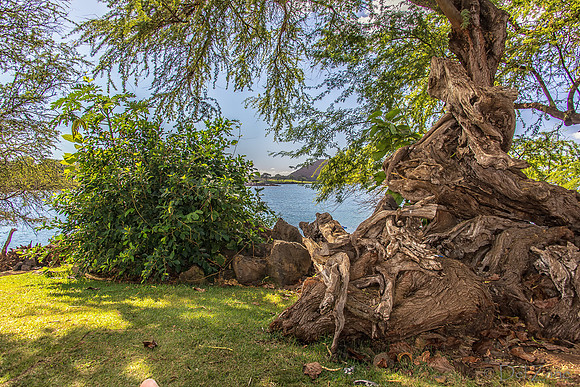 Makena Beach-25