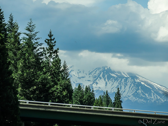 SDZ Trip Pix--43